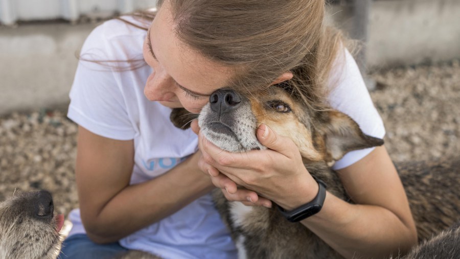 Concurso Solidario Don Perro “Mi mascota y Aragón”'
